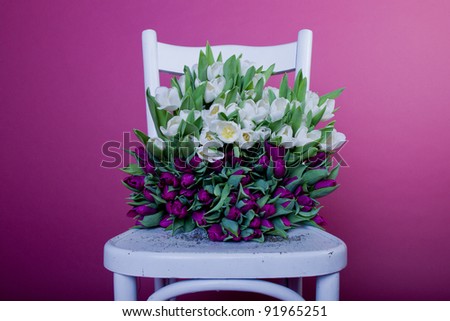 Purple and white tulips on white chair
