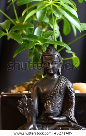 Buddha And Bonsai