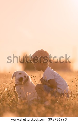 Young Child Boy Training Golden Retriever Puppy Dog in Meadow on Sunny Day
