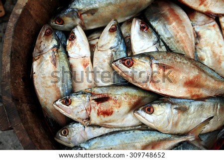 Fresh thai mackerel in wooden bucket at fish market, Southern Thailand.
