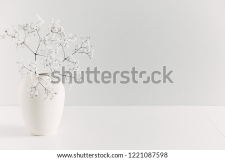 Home interior floral decor. Elegant floral soft gray composition. Beautiful flowers in  vase on white wall background.