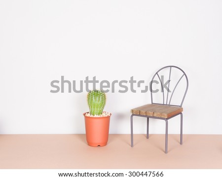 cactus and mini chair, minimalism style