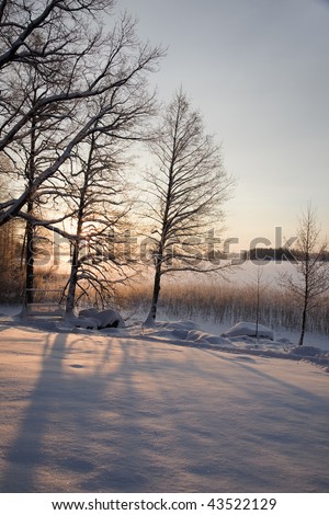 A winter nature shot with beautiful snowy terrain. Very cold weather.