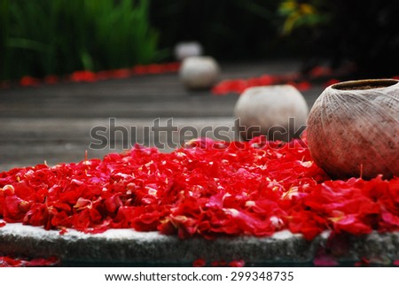 Coconut Shell on Scattered Flowers..