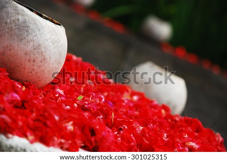 Coconut Shell with Scattered Little Red Flower Landscape..