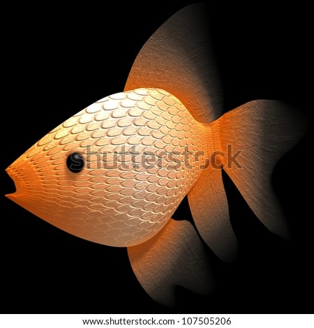 Gold fish for adv or others purpose