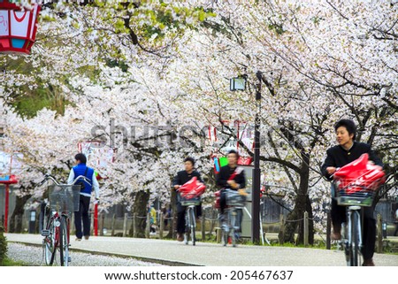 Kyoto, Japan - April 12, 2013: Sakura season in Kyoto, Japan