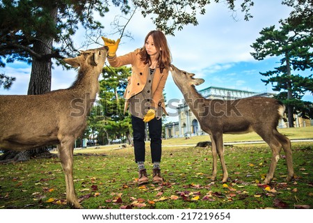 NARA, JAPAN - Nov 21: Visitors feed wild deer on April 21, 2013 in Nara, Japan. Nara is a major tourism destination in Japan - former capita city and currently UNESCO World Heritage Site.