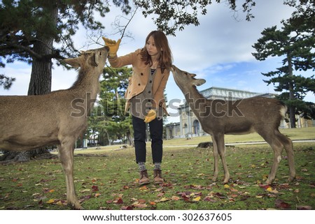 Visitors feed wild deer in Nara, Japan. Nara is a major tourism destination in Japan - former capital city and currently UNESCO World Heritage Site.