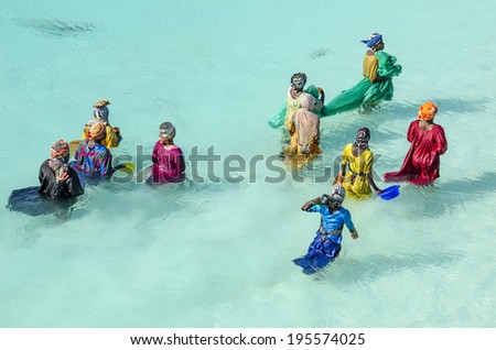 ZANZIBAR, TANZANIA - NOV 23, 2012: Women with colorful clothes fishing in shallow watter. They are hunting small fishes into the net. After hours they take home just a full pot of small fishes.