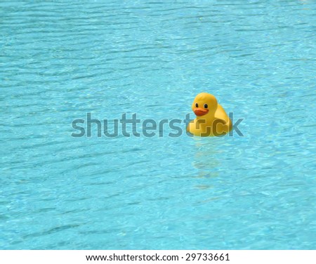 rubber duck wallpaper. photo : Happy rubber duck