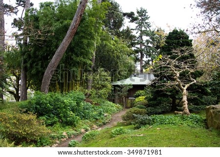 Japanse zen garden with old trees
