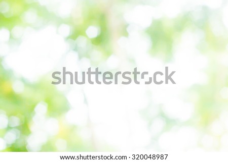 Over blur forest and sky and flower with De focused Bokeh background show to light of hope, light of dream, light of imagination, love world, green summer concept.