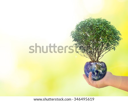 Human hands holding perfect growing tree plant on the world with soil on blurred natural background of tree leaves flower with world map. world photo from NASA : Reforestation, environment eco
