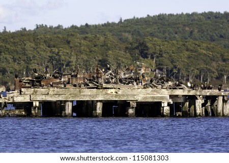 Birds perched on building residue stored on a wooden  wharf on pilings in Sandy River, Maine.