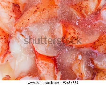 A close view of flash frozen knuckle and claw lobster meat.
