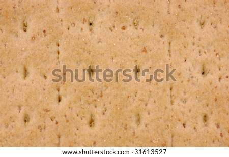 Close view graham cracker