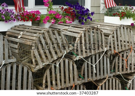 Lobster traps window boxes