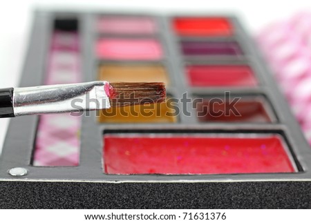 A close view of a soft bristle brush loaded with lip gloss.
