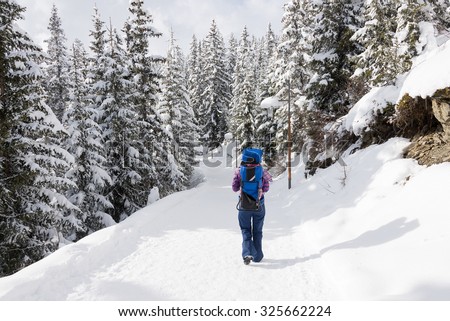 Tourist mother in ski gear walking in the snow in a forest with snow on the trees with her baby child on her back in a baby carrier backpack in a ski resort area in winter.