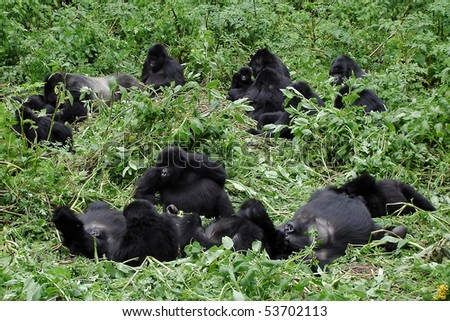 family chilling out in Rwanda.