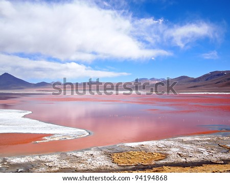 The Red Lake, or Laguna Colorada, on the Altiplano near Uyuni inside Eduardo Avaroa National Reserve in Bolivia at 4300 m above sea level.  The red color is caused by sediments and algae.