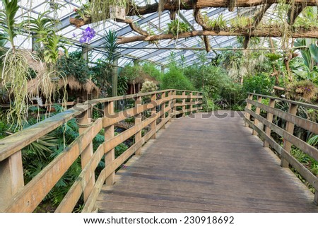 Wooden bridge in Dutch greenhouse with tropical garden