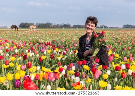 Happy woman with bunch of tulips in a big colorful tulip field