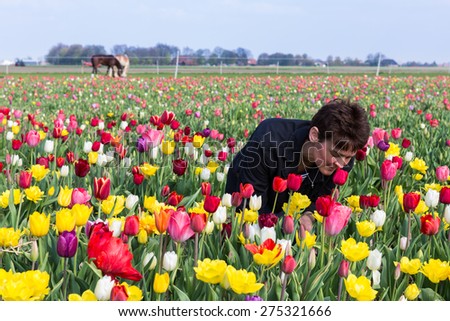 Woman smelling beautiful flowers in a Dutch tulip field
