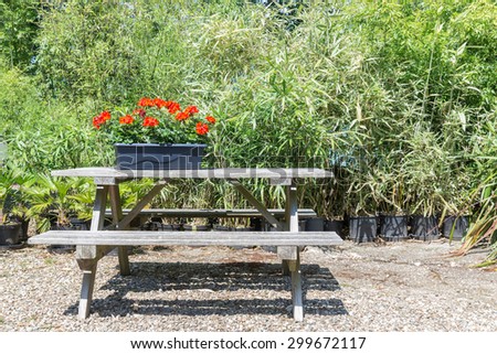 Garden with wooden bench and a planter with blooming geraniums
