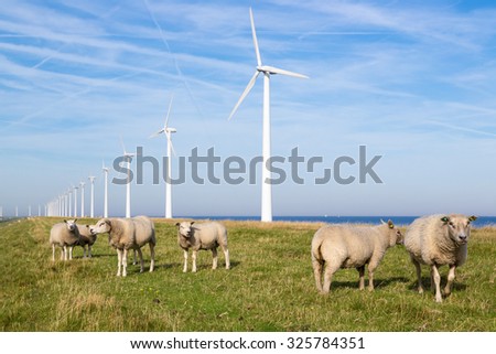 Long row Dutch wind turbines with herd of sheep in front of it