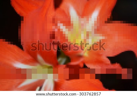 Red stylized pixel, square amaryllis for background, poster, calendar, card, invitation, wallpaper -2