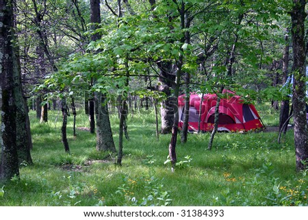 a campsite set up in the woods