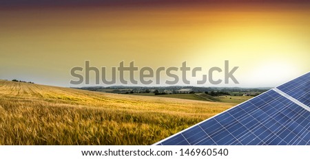 photovoltaic panels in the countryside with corn at the sunset