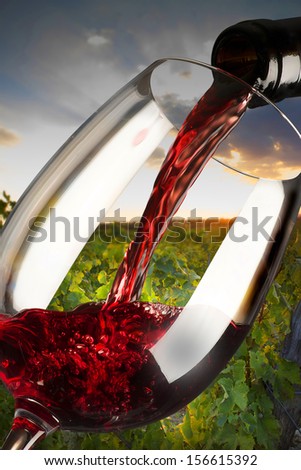 red wine glass in the wine red wine glass in the wine