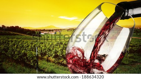 vineyard in the sunset with glass of wine
