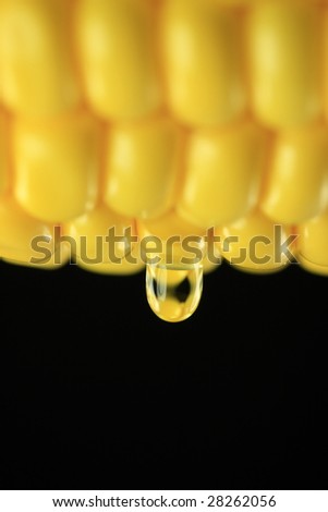 Corn oil. Oil drop on fresh corn, black background.