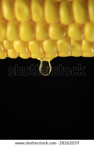 Corn oil. Oil drop on fresh corn, black background.