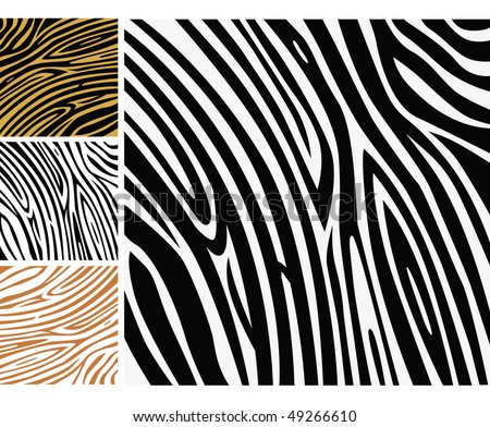 animal print background. Background texture of zebra