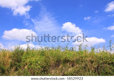 Summer country Landscape with blue cloudy Sky
