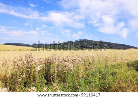 Summer country Landscape with the blue cloudy Sky