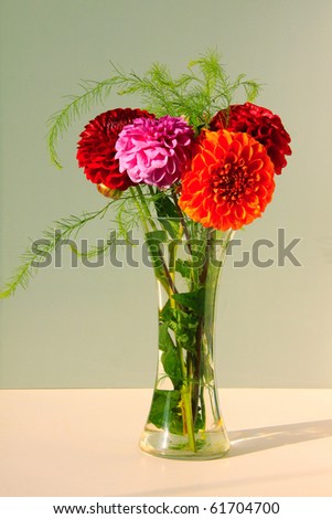 Dahlias in the Vase on the light Background
