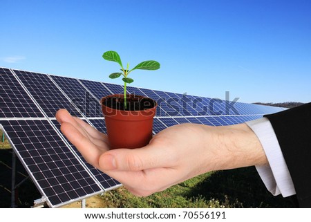 Businessman's Hand with the green little Plant in front of the Solar Power Station
