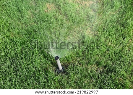Turbo-driven pop-up sprinkler watering the fresh green lawn grass in the summer garden