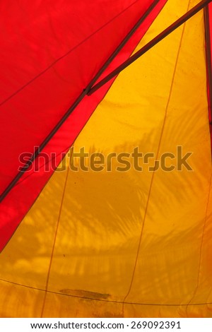 Giant red and yellow umbrella against a palm leaf in the botany garden