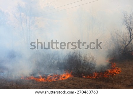 Line of the fire coming toward the village - burning meadow grass