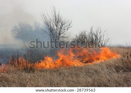 Fire line moving forwards - tongues of flame consuming meadow and forest