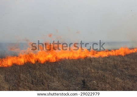 Fire line moving forwards - tongues of flame consuming meadow