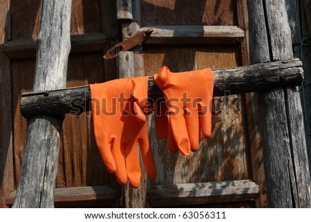 Orange rubber gloves hanging on an old wood ladder