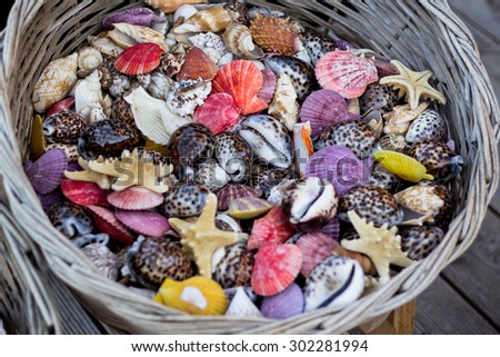 Basket full of colorful seashells and starfishes on Rhodes